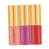 Maxbell 3Pc Velvet Matte Waterproof Lasting Lip Gloss Liquid Lipstick Makeup Tool 04