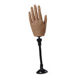 Maxbell Silicone Nail Practice Hands Mannequin Female Model Display  Style 2 Single