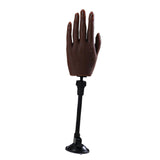 Maxbell Silicone Nail Practice Hands Mannequin Female Model Display  Style 6 Single