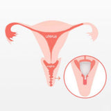 Maxbell Women Menstrual Cup Reusable Soft Cups for Travel Food Grade Silicone Black