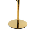 Maxbell Shoe Display Stand Rack Shelf for High Heels Countertop Clothing Store Glossy Aureate