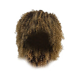 Maxbell Afro Curly Wigs Heat Resistant Full Wigs with Bangs for Daily Wedding Work Aureate