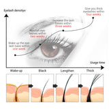 Maxbell Brow Eyelash Growth Serum 20ml Moisturizing Liquid Enhancing Boost Enhancer