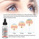 Maxbell Brow Eyelash Growth Serum 20ml Moisturizing Liquid Enhancing Boost Enhancer