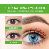 Maxbell Castor Oil for Eyelashes and Eyebrows Easy to Use Conditioning Oil for Women