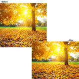 Maxbell 77mm Digital Camera Soft Focus Lens Special Effect Portrait Softener Diffuser Filters