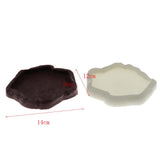 Maxbell Reptile Tortoise Gecko Feeding Bowl Food Water Resin Dish Bowl Brown S