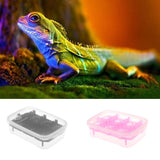 Maxbell 14 Slot Reptile Eggs Incubator Tray Lizard Gecko Snake Bird Egg Hatcher Box Black