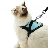Maxbell Adjustable Harness Walking Lead Leash Chest Strap for Pet Cat #1 Blue