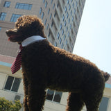 Maxbell Adjustable Pet Dog Cat Necktie Collar Stripe Bow Tie Grooming Costume Red Black