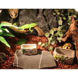 Maxbell Reptile Food Dish Feeding Bowl Water Worm Feeder Chameleon Large BL-7002