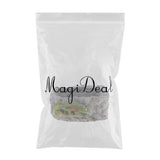 Maxbell Reptile Food Dish Feeding Bowl Water Worm Feeder Chameleon Large BL-7002