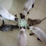 Maxbell Pet Puppy Kitten Flower-shape Bowl Interactive Food Feeder Healthy Dish Blue