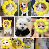 Maxbell Pet Hats Sunflower Headdress for Pet Cosplay Hats Dog Christmas Decoration