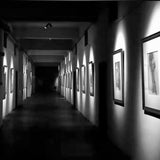 Maxbell LED Spotlight Gallery Display Track Light Head Spotlight Track Light S 20W