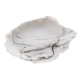 Maxbell 2xResin Rock Bowl Food Water Dish Feeder Plate for Terrarium Reptile Tank  2