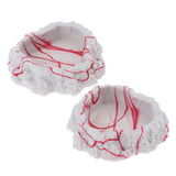 Maxbell 2xResin Rock Bowl Food Water Dish Feeder Plate for Terrarium Reptile Tank  5