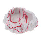 Maxbell 2xResin Rock Bowl Food Water Dish Feeder Plate for Terrarium Reptile Tank  5