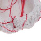 Maxbell 2xResin Rock Bowl Food Water Dish Feeder Plate for Terrarium Reptile Tank  5