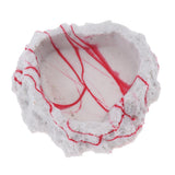 Maxbell 2xResin Rock Bowl Food Water Dish Feeder Plate for Terrarium Reptile Tank  5
