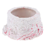 Maxbell Resin Reptiles Bowl Water Food Holding Dish for Reptile Tanks Terrarium 01
