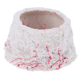Maxbell Resin Reptiles Bowl Water Food Holding Dish for Reptile Tanks Terrarium 01