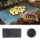 Maxbell Turtle Dish for Reptile Amphibians Food Bowl Natural Rock Plate Rectangle