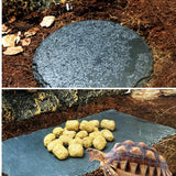 Maxbell Turtle Dish for Reptile Amphibians Food Bowl Natural Rock Plate Rectangle