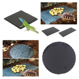 Maxbell Turtle Dish for Reptile Amphibians Food Bowl Natural Rock Plate Rectangle
