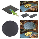 Maxbell Turtle Dish for Reptile Amphibians Food Bowl Natural Rock Plate Rectangle