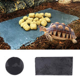 Maxbell Turtle Dish for Reptile Amphibians Food Bowl Natural Rock Plate Rectangle