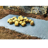 Maxbell Turtle Dish for Reptile Amphibians Food Bowl Natural Rock Plate Rectangle