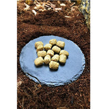 Maxbell Turtle Dish for Reptile Amphibians Food Bowl Natural Rock Plate Circular