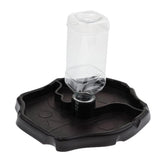 Maxbell Automatic Reptile Tortoise Gecko Feeding Bowl Water Resin Dish Deep Brown