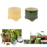 Maxbell Plastic Reptile lizard Gecko Vivarium Feeding Food Dish Feeder Bowl Green