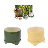 Maxbell Plastic Reptile lizard Gecko Vivarium Feeding Food Dish Feeder Bowl Green