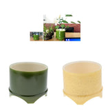 Maxbell Plastic Reptile lizard Gecko Vivarium Feeding Food Dish Feeder Bowl Green