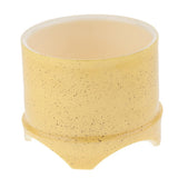 Maxbell Plastic Reptile lizard Gecko Vivarium Feeding Food Dish Feeder Bowl Yellow