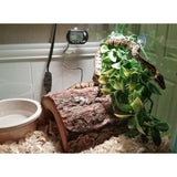 Maxbell Natural Looking Reptile Plants Terrarium Tanks Plastic Leaves Plants Decor S