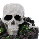 Maxbell Aquarium Terrarium Landscaping Decor Reptiles Habitat Resin Ornament 2