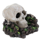 Maxbell Aquarium Terrarium Landscaping Decor Reptiles Habitat Resin Ornament 2