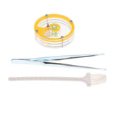 Maxbell Clear Acrylic Feeding Box, Moisturizing Sponge Ant Nest, The Ants Feeder