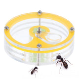 Maxbell Clear Acrylic Feeding Box, Moisturizing Sponge Ant Nest, The Ants Feeder