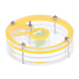 Maxbell Clear Acrylic Feeding Box, Moisturizing Sponge Ant Nest, The Ants Feeder