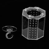 Maxbell Spider Insect Reptile Tank Vivarium Cage Box Clear Acrylic Terrarium