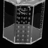 Maxbell Spider Insect Reptile Tank Vivarium Cage Box Clear Acrylic Terrarium