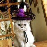 Maxbell Pet Halloween Hat Party Costume Headwear Cosplay Accessories for Cat Dog  2