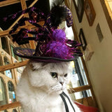 Maxbell Pet Halloween Hat Party Costume Headwear Cosplay Accessories for Cat Dog  2