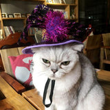 Maxbell Pet Halloween Hat Party Costume Headwear Cosplay Accessories for Cat Dog  2