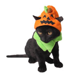 Maxbell Halloween Pumpkin Cat Hat Small Pet Dog Ornament Halloween Trick Treat Cap 1